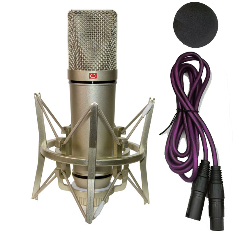 Professional Condenser Microph - огляд і ціна Shure Mic Sm58